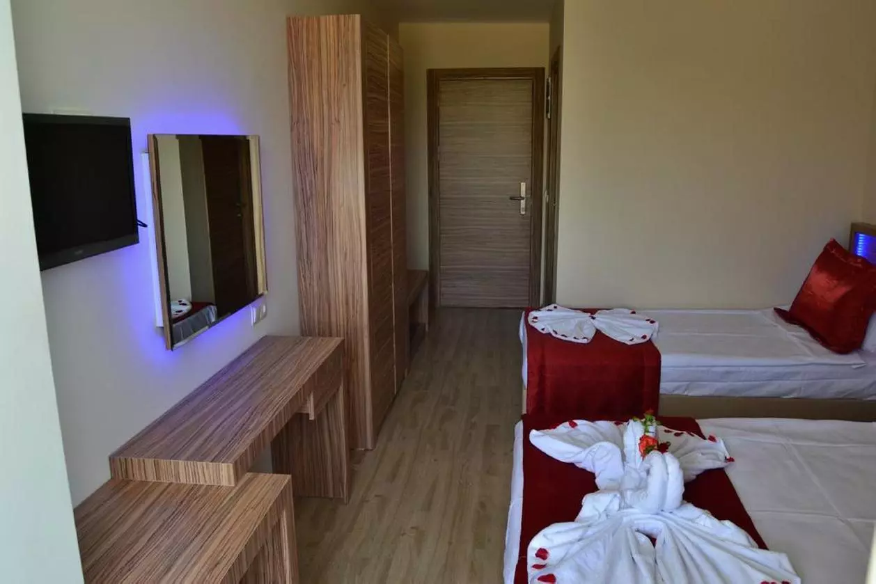 BELMARE_SHABAVIZ (8).jpg